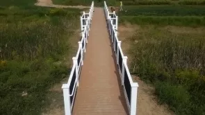 03172017194132 - Bridge 5